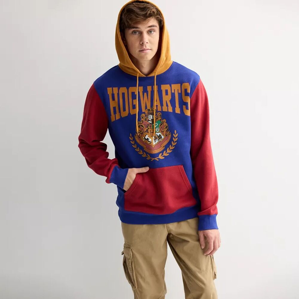 Men's Harry Potter Hogwarts Colorblock Hoodie Sweatshirt Large